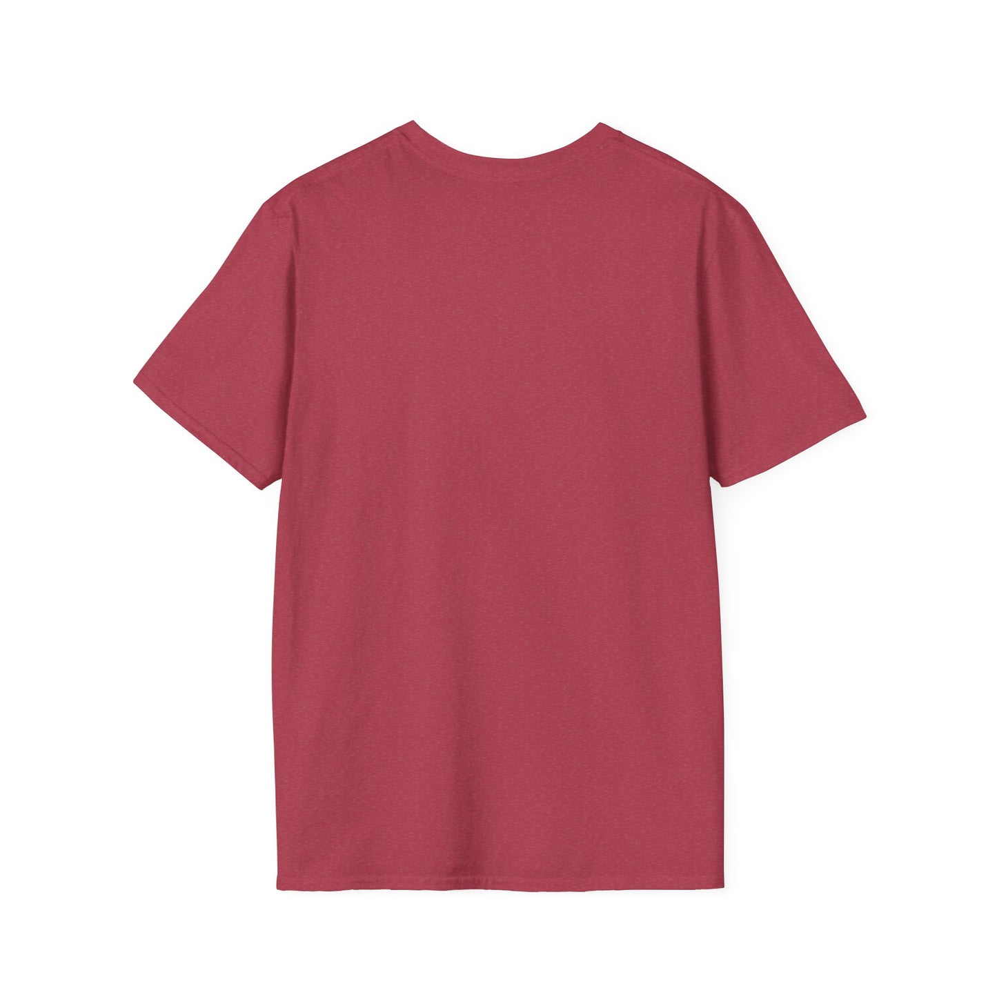 Faith-Based Inspirational T-Shirt - Today's Lesson WILL be MY Blessing