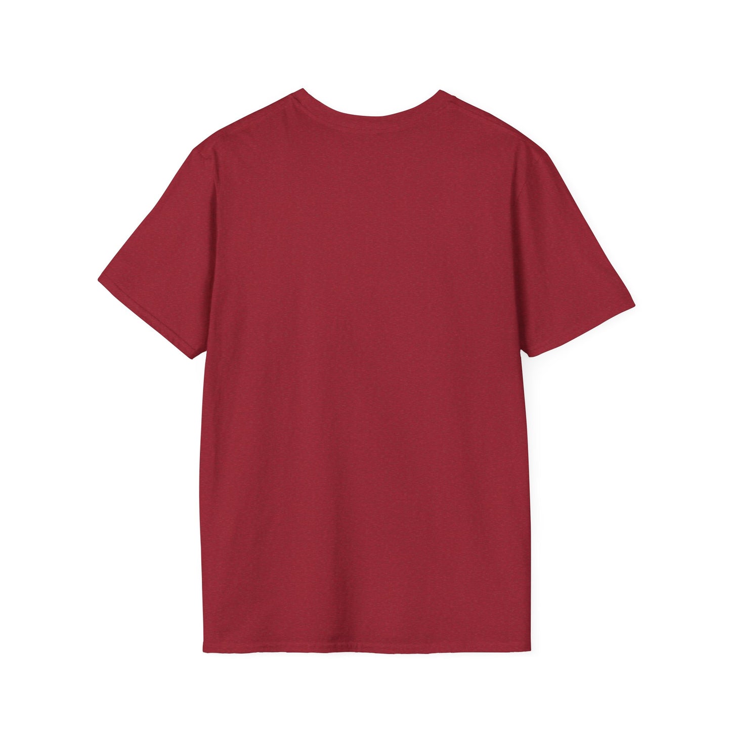 Faith-Based Inspirational T-Shirt - Today's Lesson WILL be MY Blessing